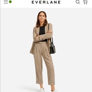 Everlane Put-Together Pleat Pant Size 10